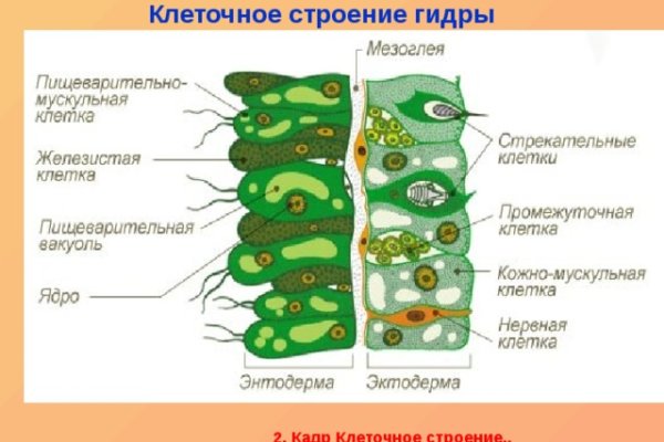 Kraken ссылка krakentor site