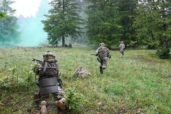 Что за маркетплейс кракен