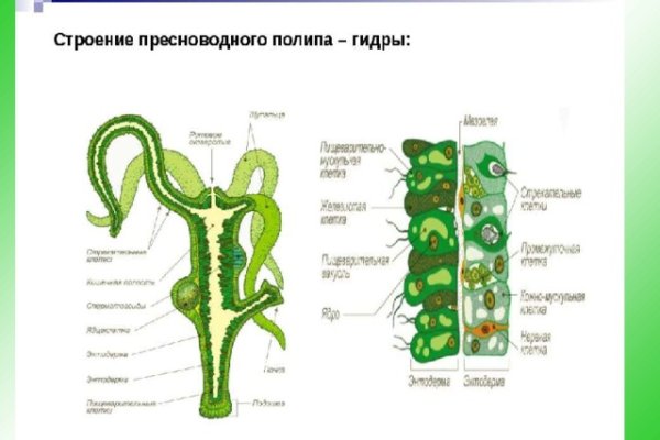 Кракен как войти через тор