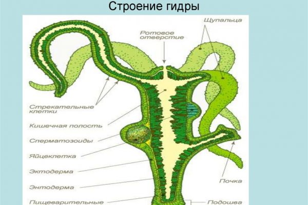 Официальный сайт kraken ссылки зеркала