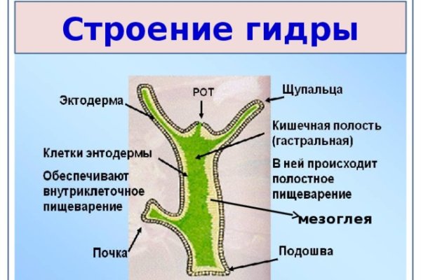 Kraken адрес onion