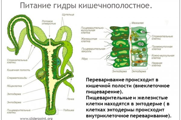 Кракен действующая ссылка