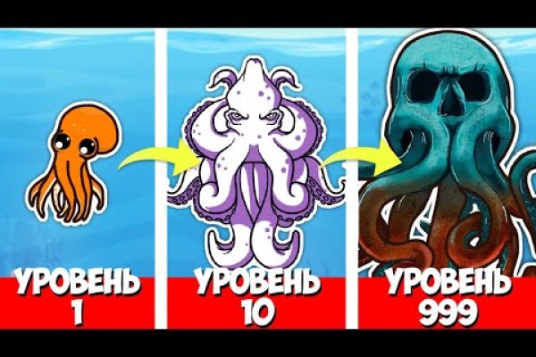 Kraken 6 at